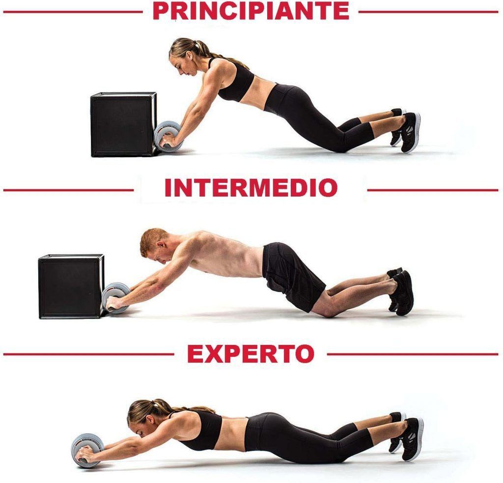 RUEDA MUSCULAR ABDOMINAL DE DOBLE RUEDA