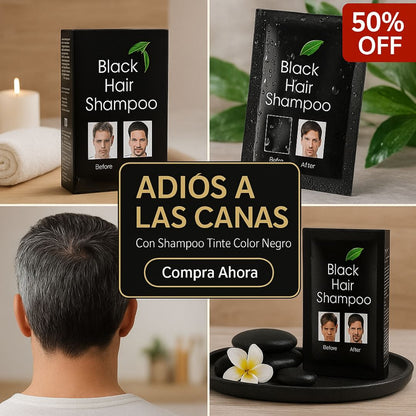 SHAMPOO TINTE CUBRE CANAS BLACK HAIR (NEGRO)